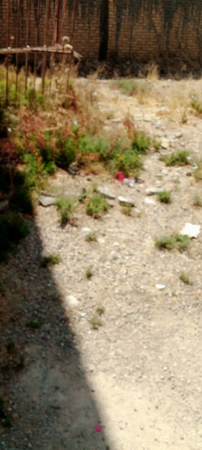 فروش زمین