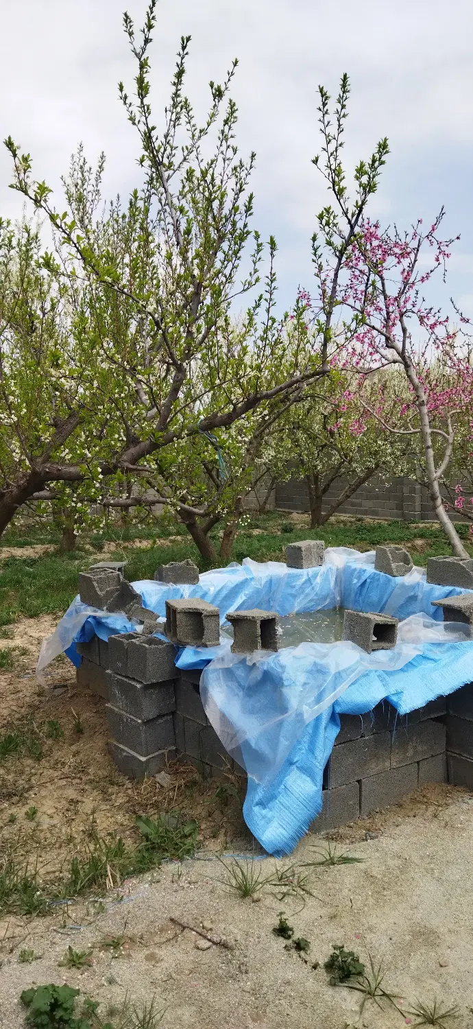 زمین ۴۰۰ متری سرخاب دیوار کشی شده شهرکی