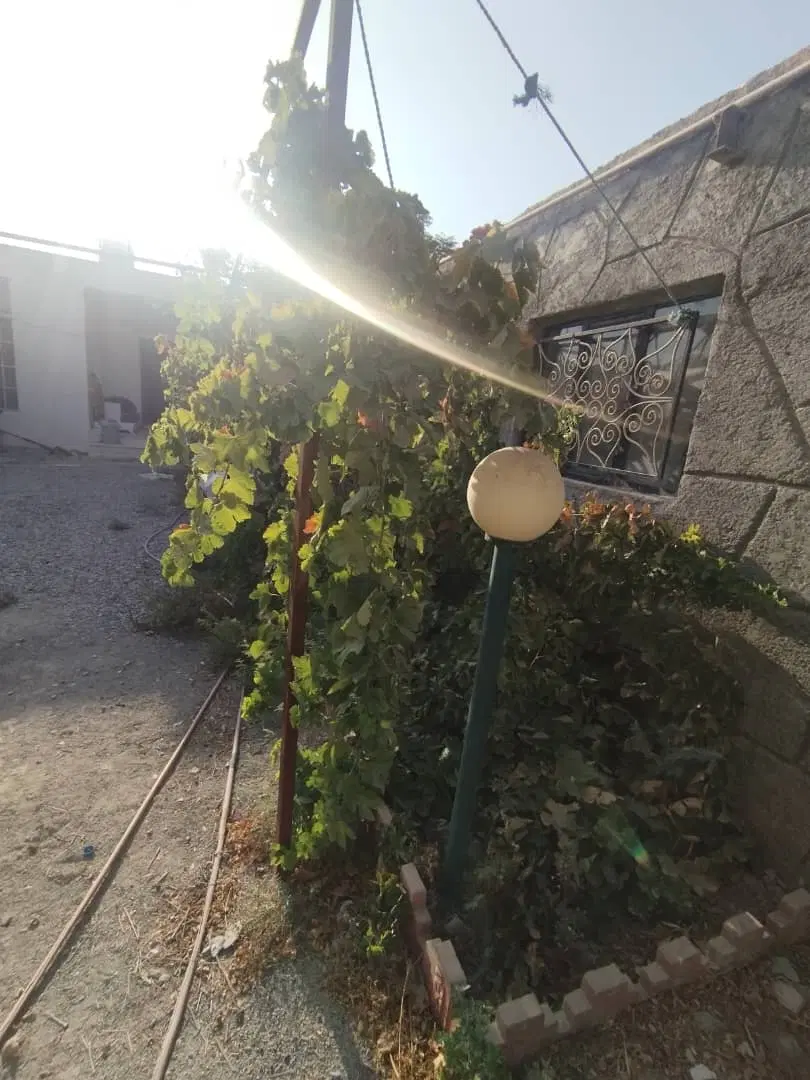 باغچه ۳۰۰ متری