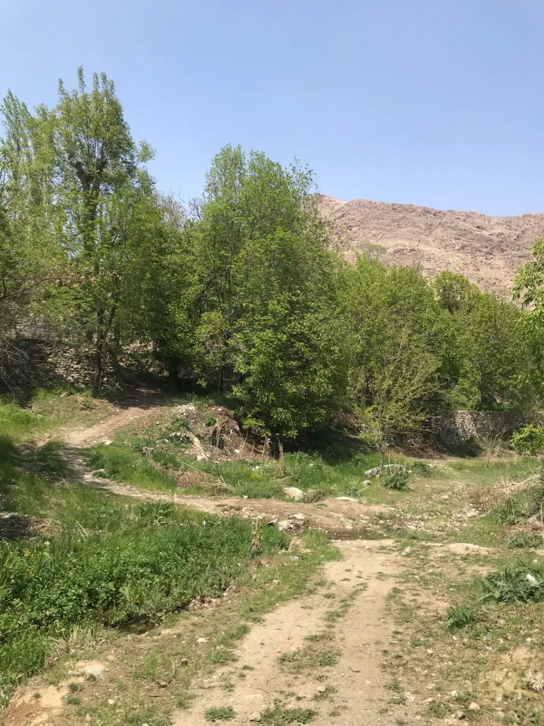 زمین بلوار نارنجستان قاصدک دوم