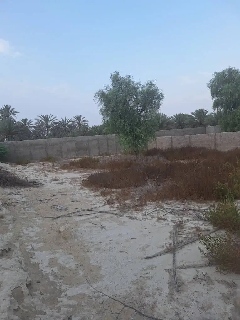 سلام یک قطع زمین باغی در شهر رمکان متراژ ۹۵۰متر