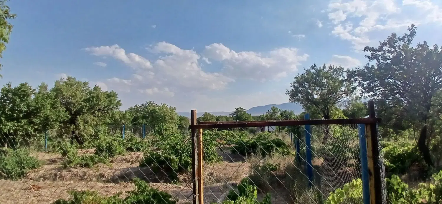فروش باغ نزدیکی عوارضی ابهر