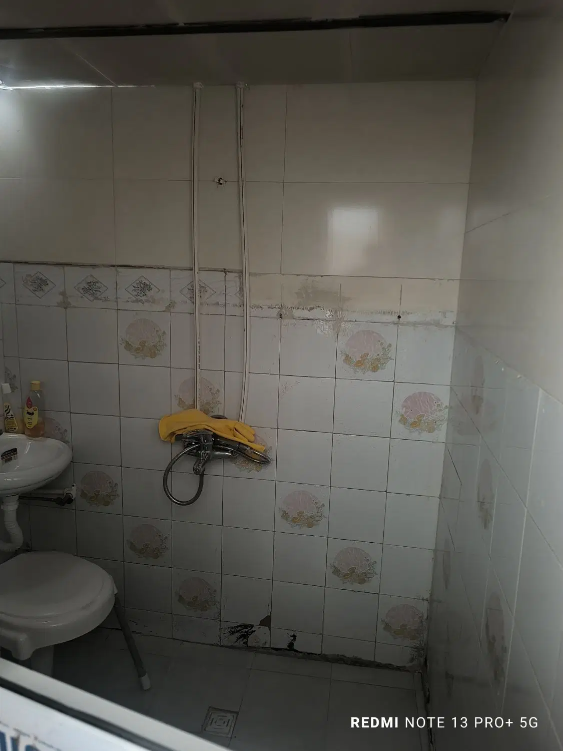 حیاط دربست در طالقانی کوی امام رضا