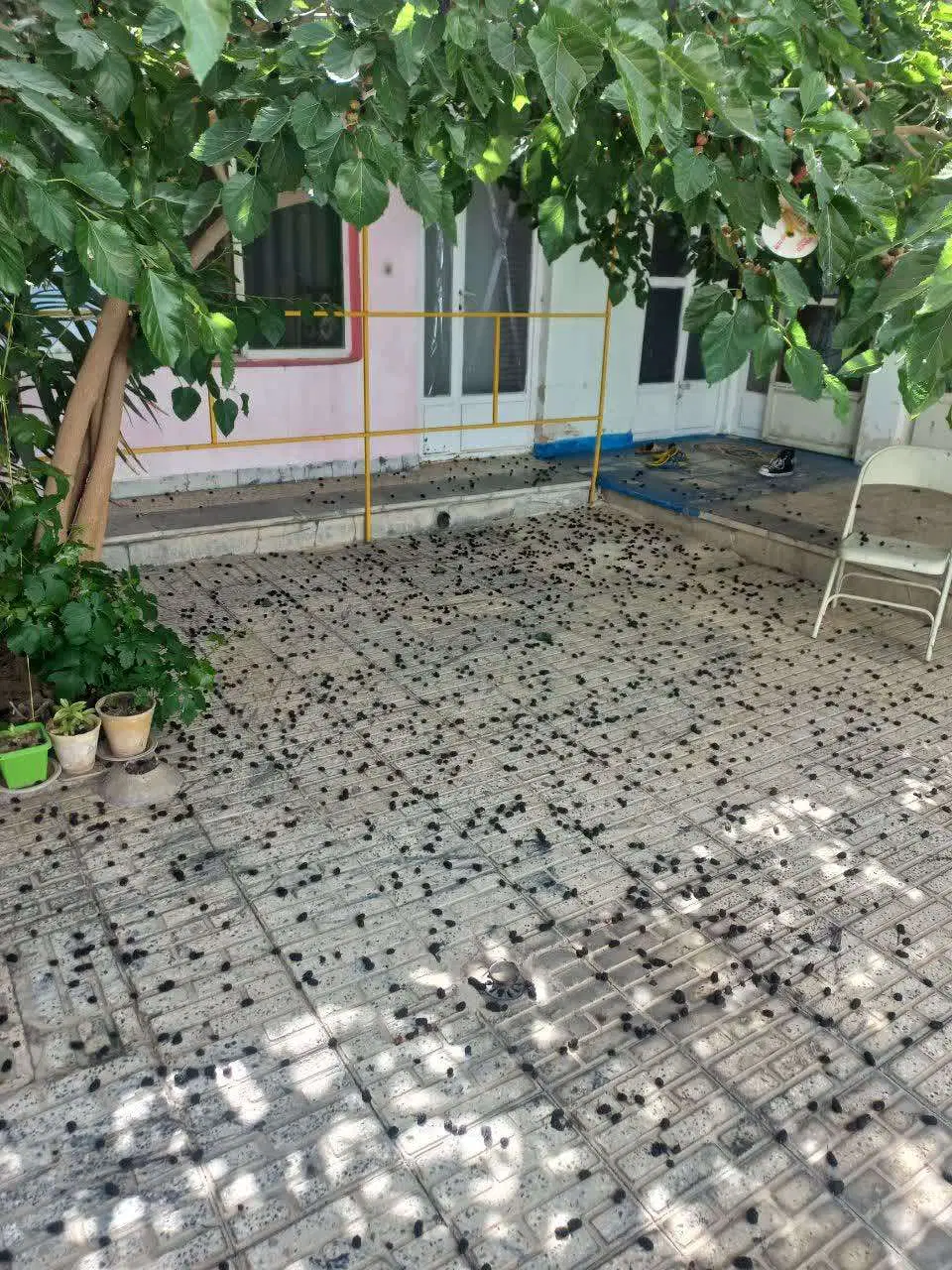 فروش ملک کلنگی سند دار در خیابان معراج (هفتون )