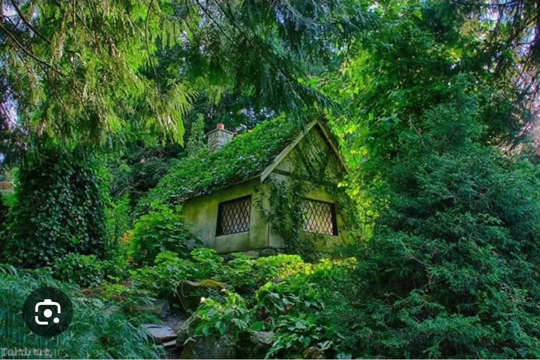۶۲متری ۲خواب_خوش نقشه_ غرق نور _ فلسطین_ جمهوری