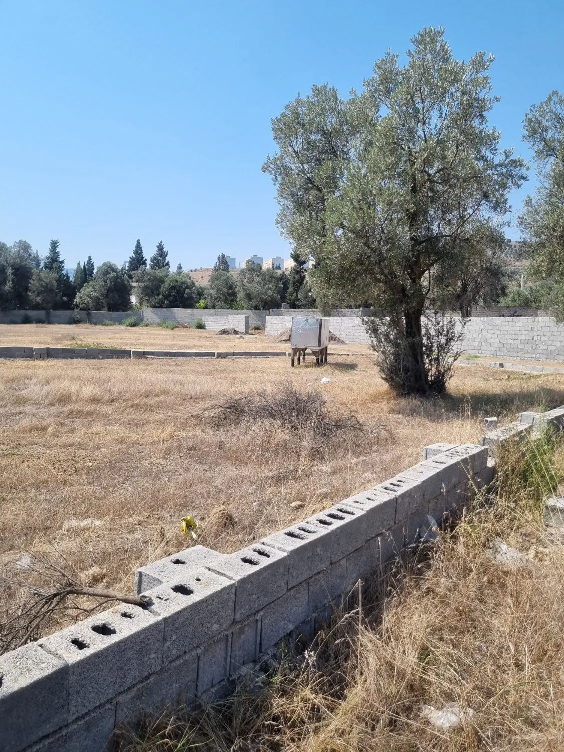 ۱۷۰ متر زمین مسکونی سند دار مسکونی رستم اباد