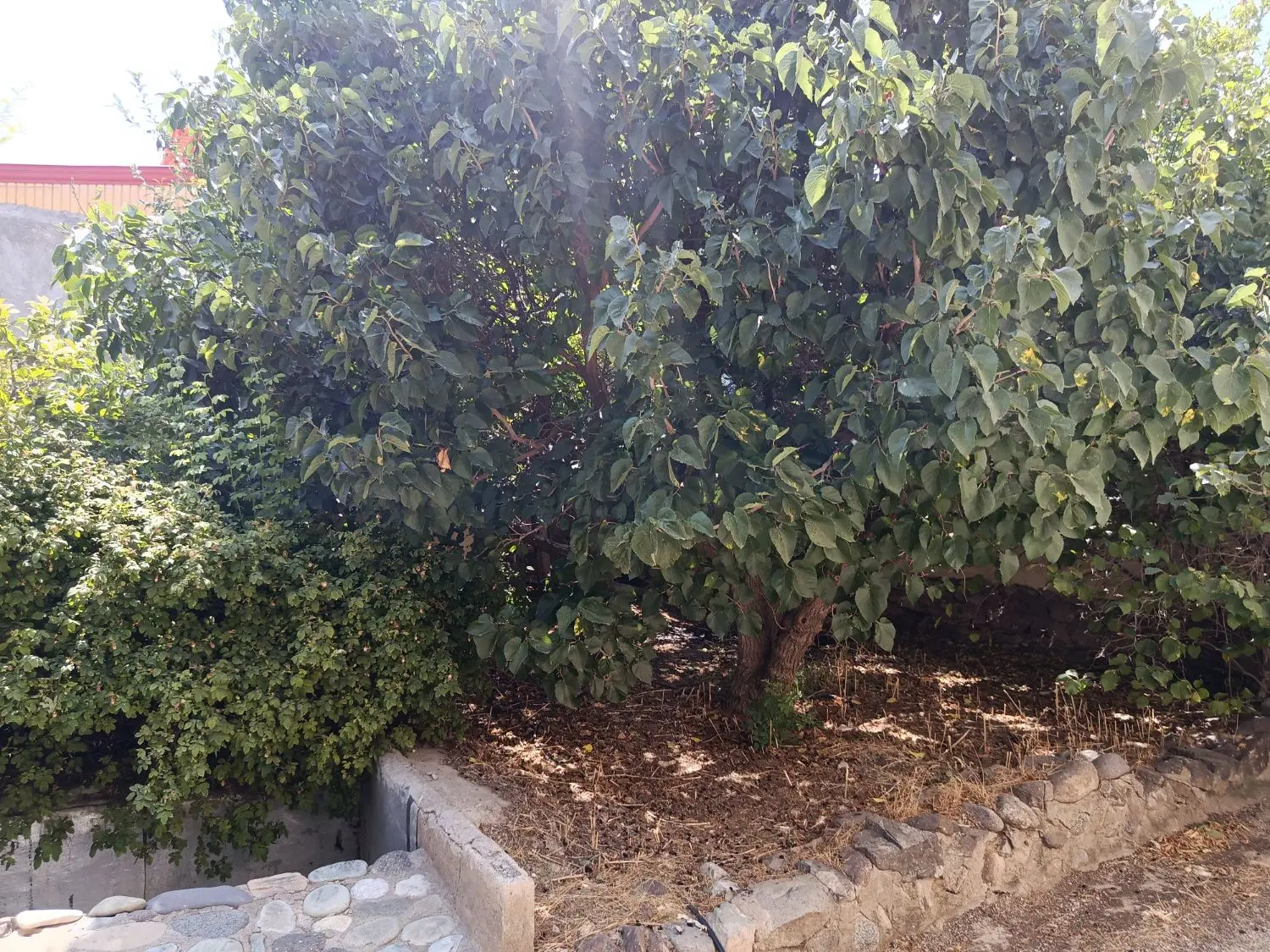 خونه ویلایی