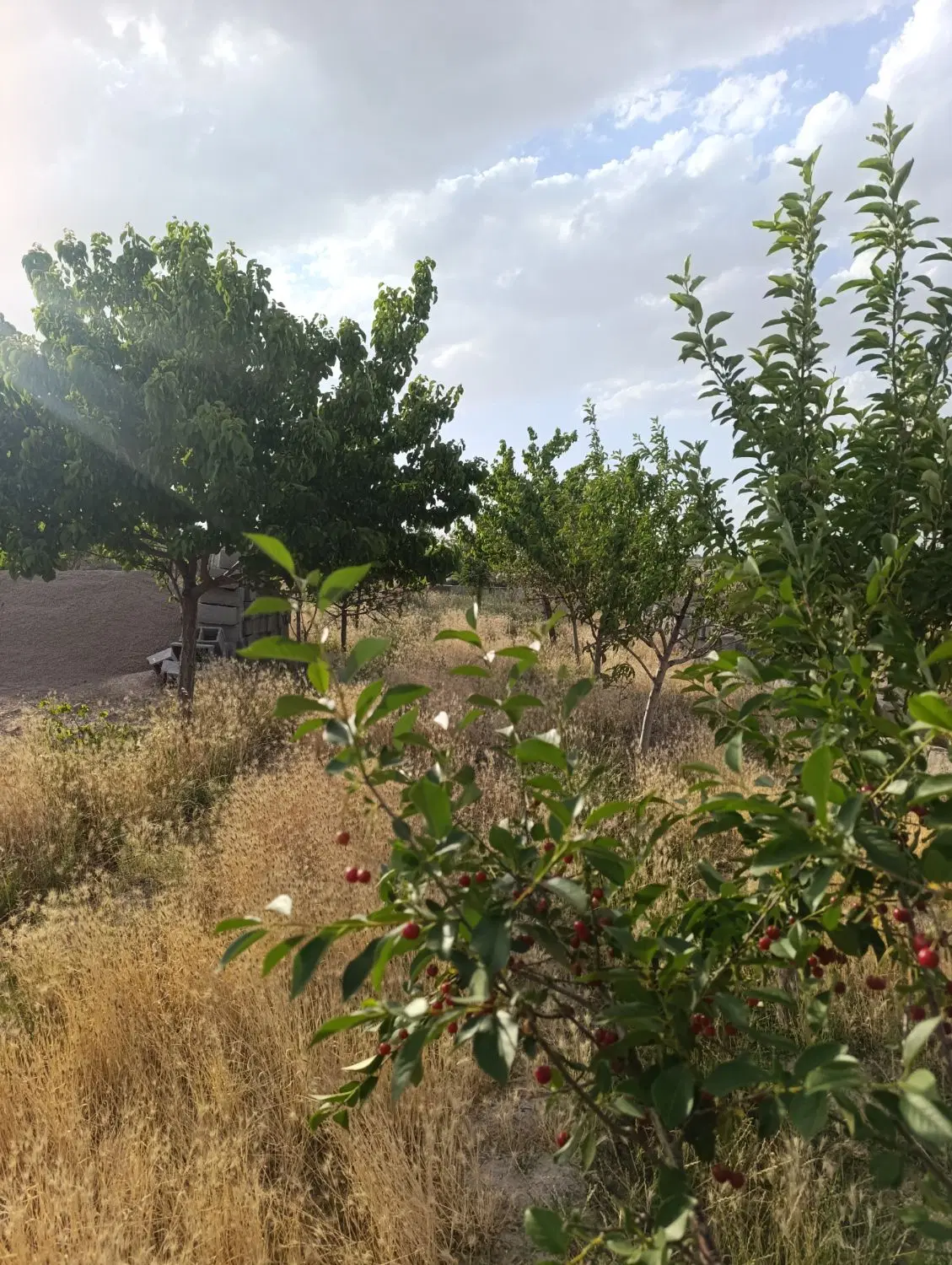 ۴۰۰متر زمین ملکی