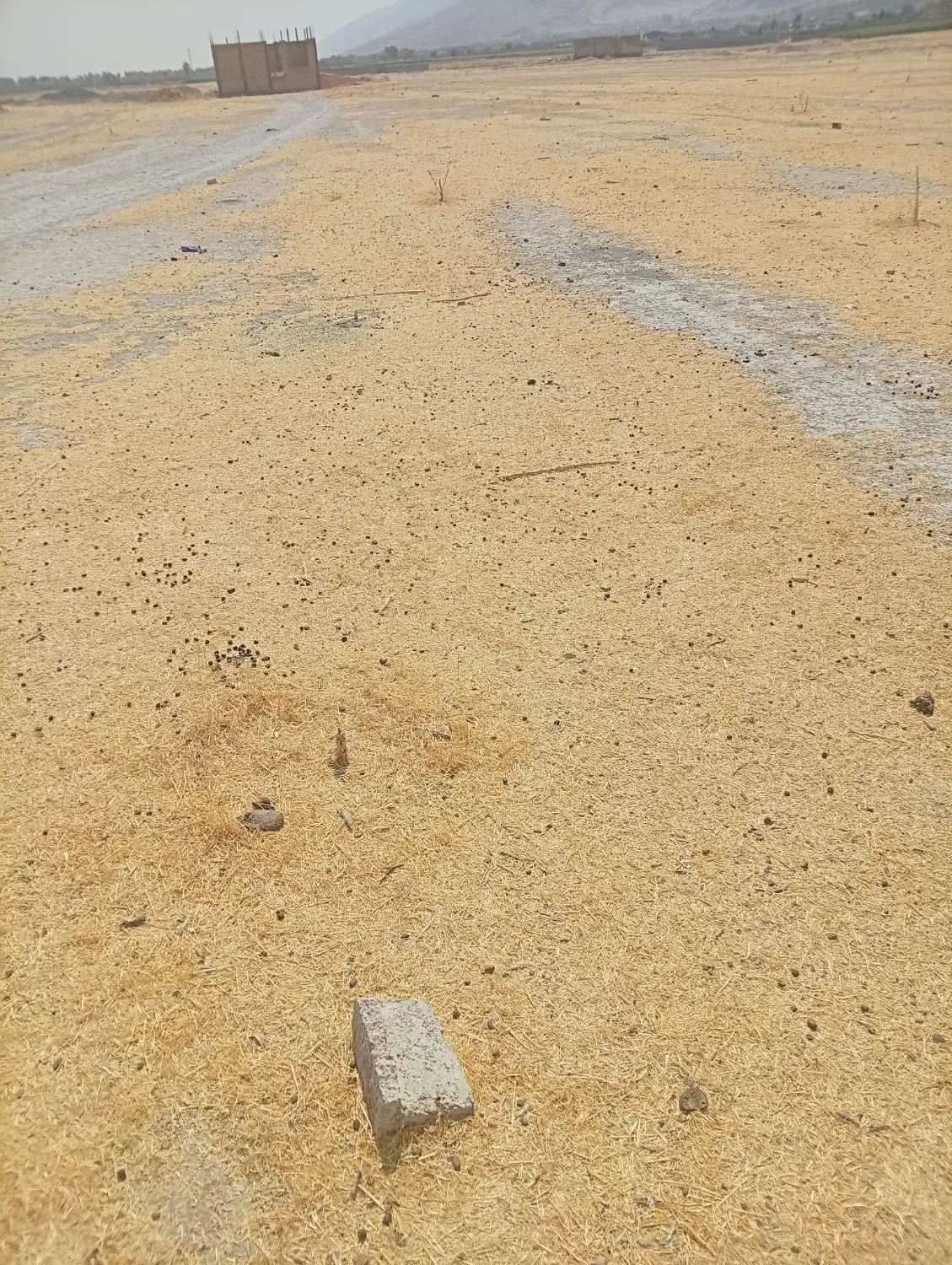 زمین فروشی