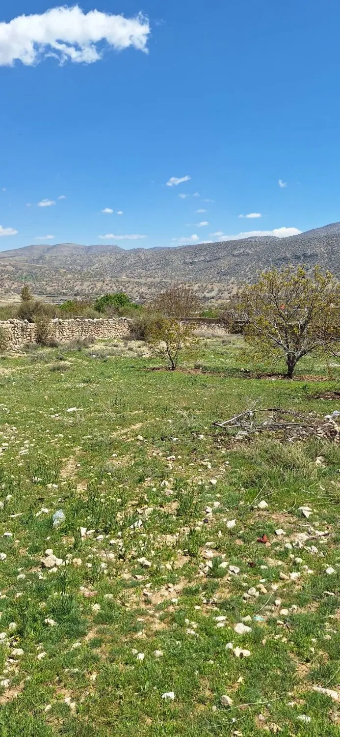 فروش زمین طرح هادی