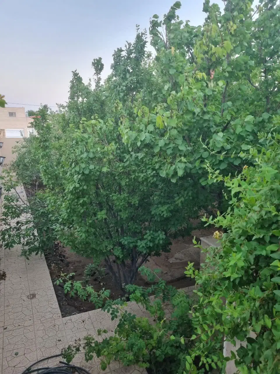 خانه فروشی ۳۶۰ متری احمدآباد چهل گزی