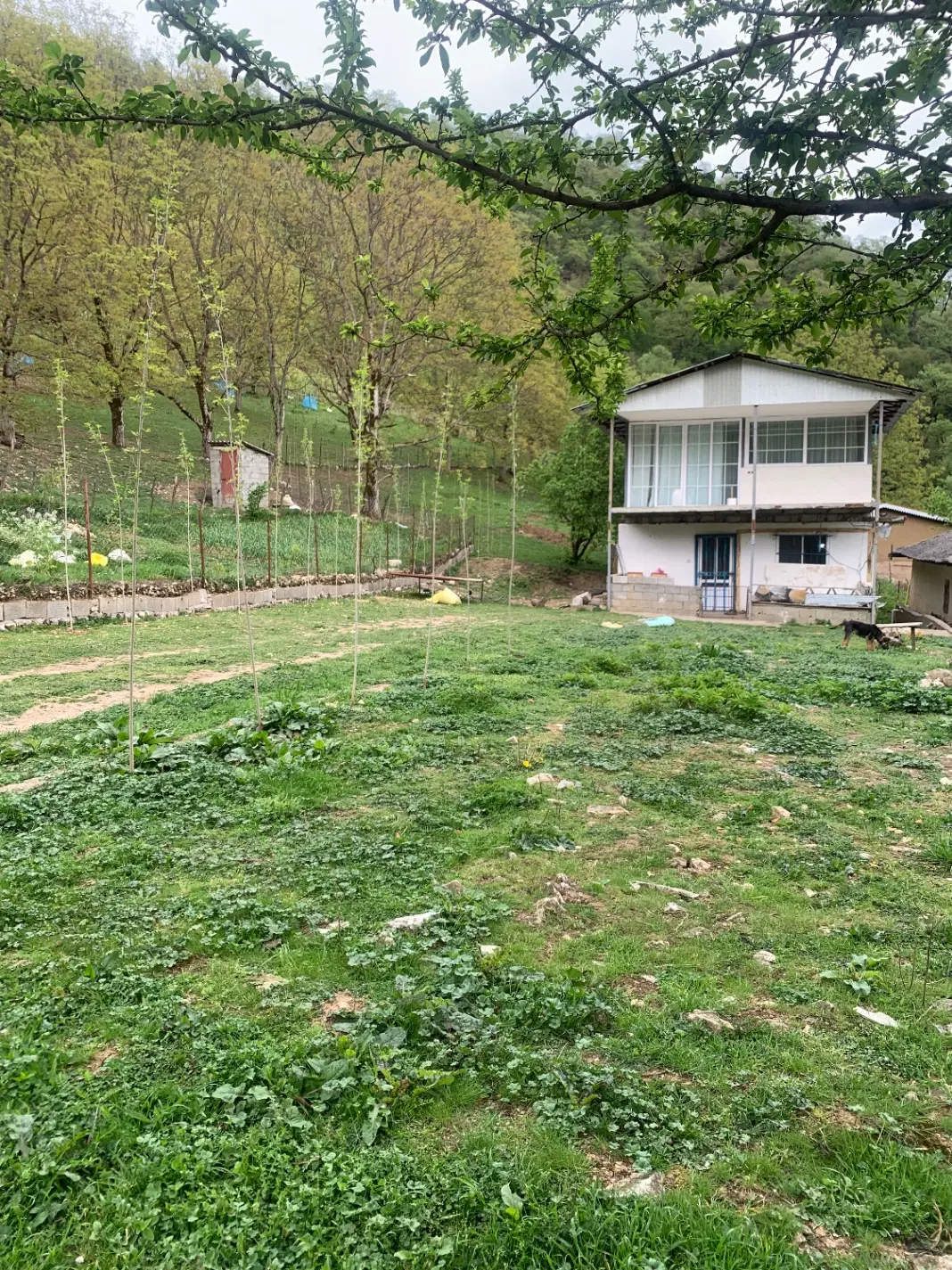زمین مسکونی مسیر پونل به خلخال،روستای اندل