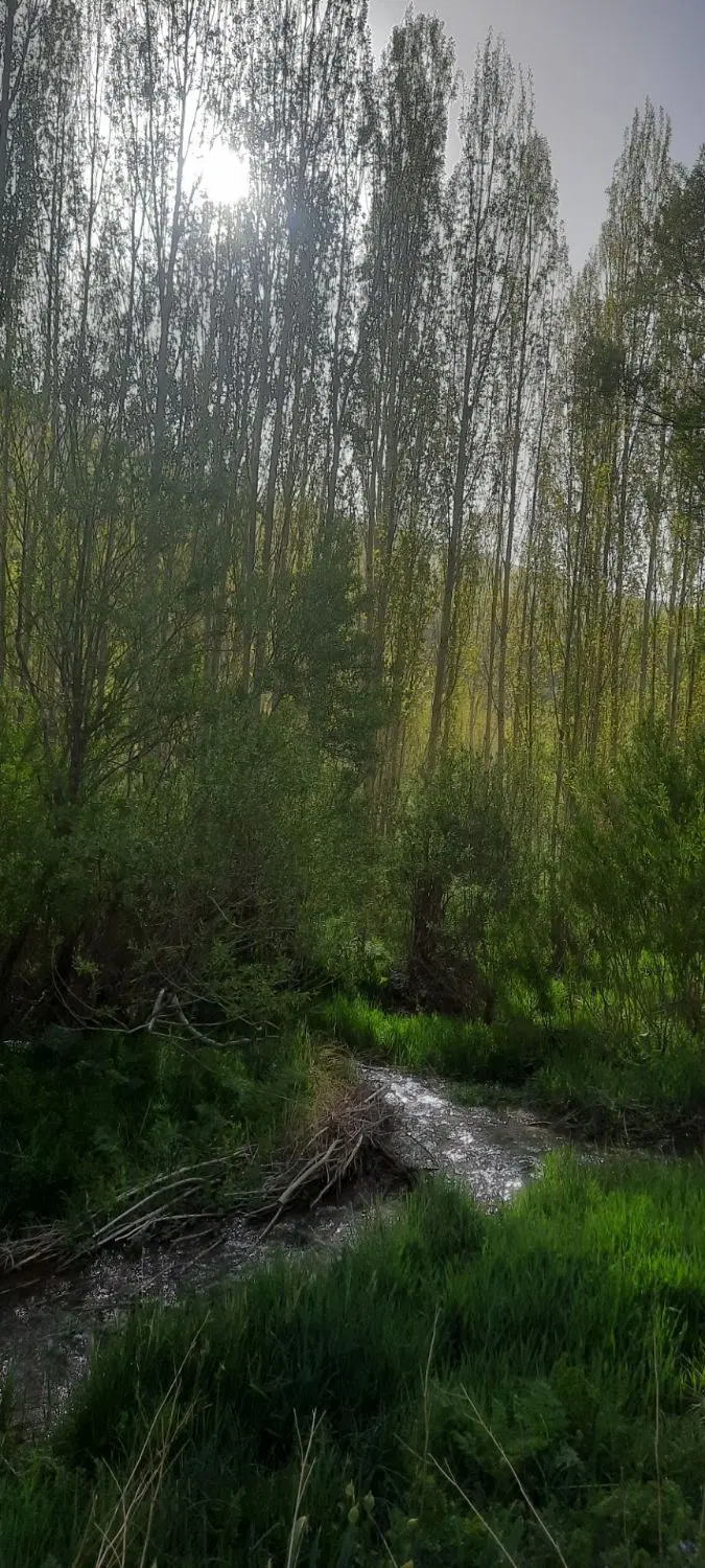 باغ وزمین در قلعه سفید