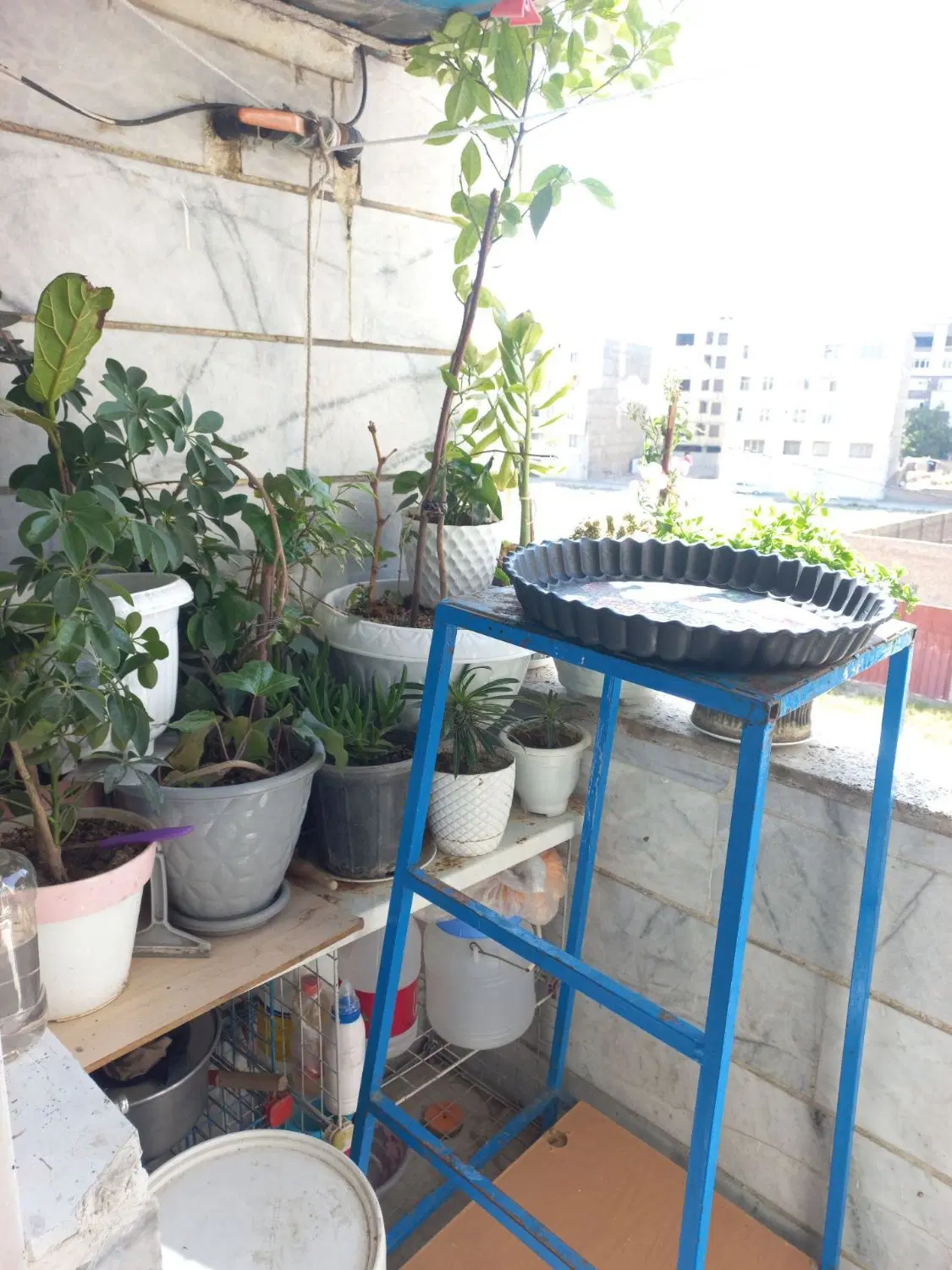 رهن و اجاره _واحد۶۰متری_موقعیت عباس اباد