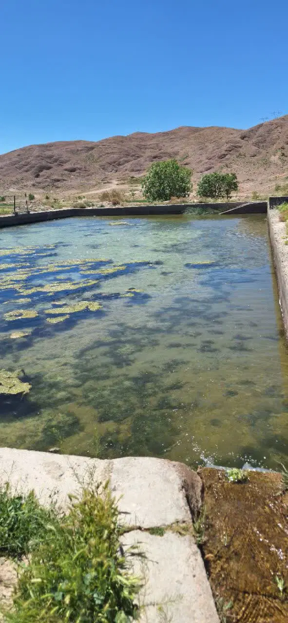 زمین فروشی