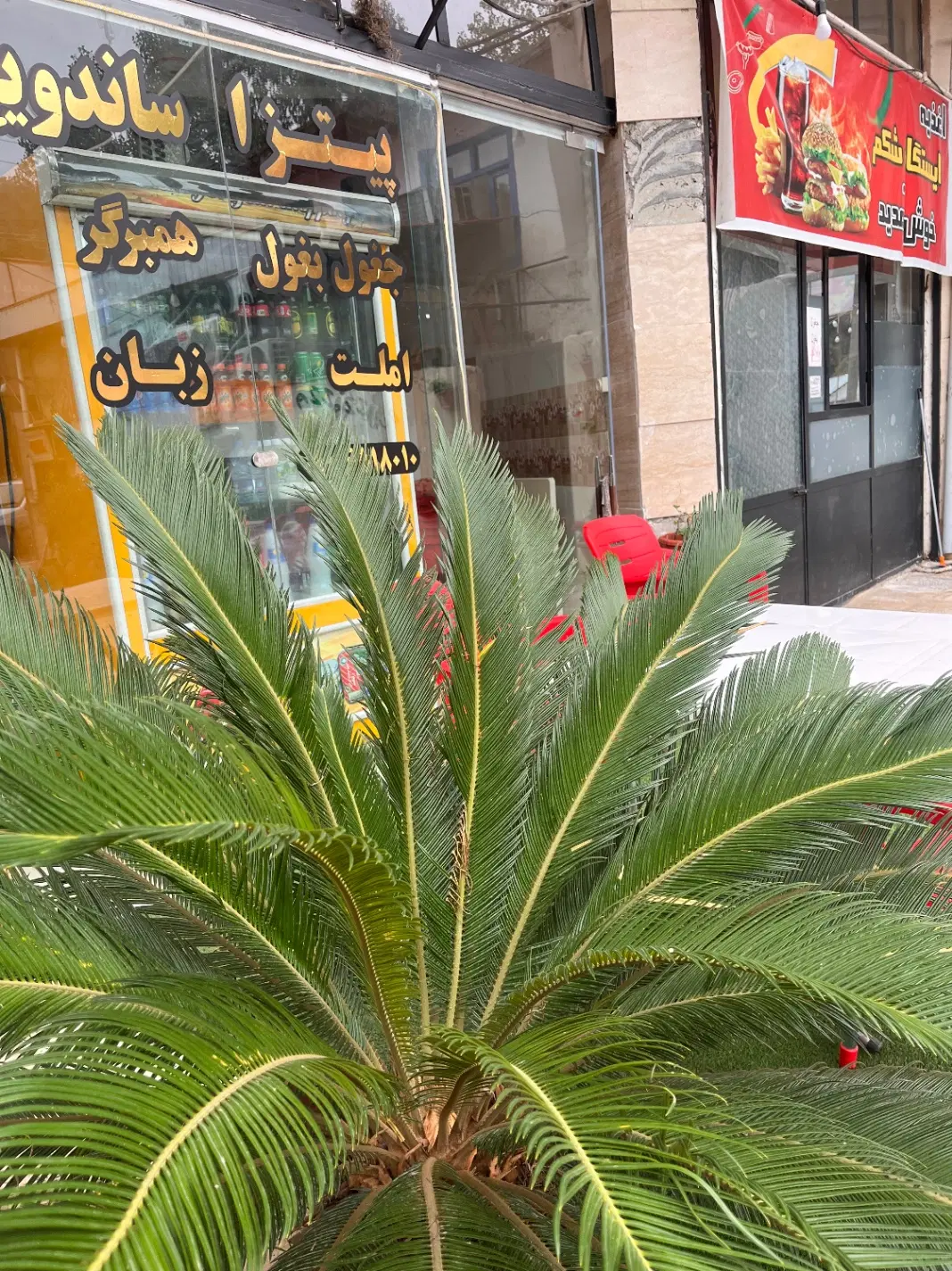 اجاره مغازه