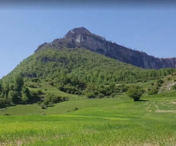 زمین