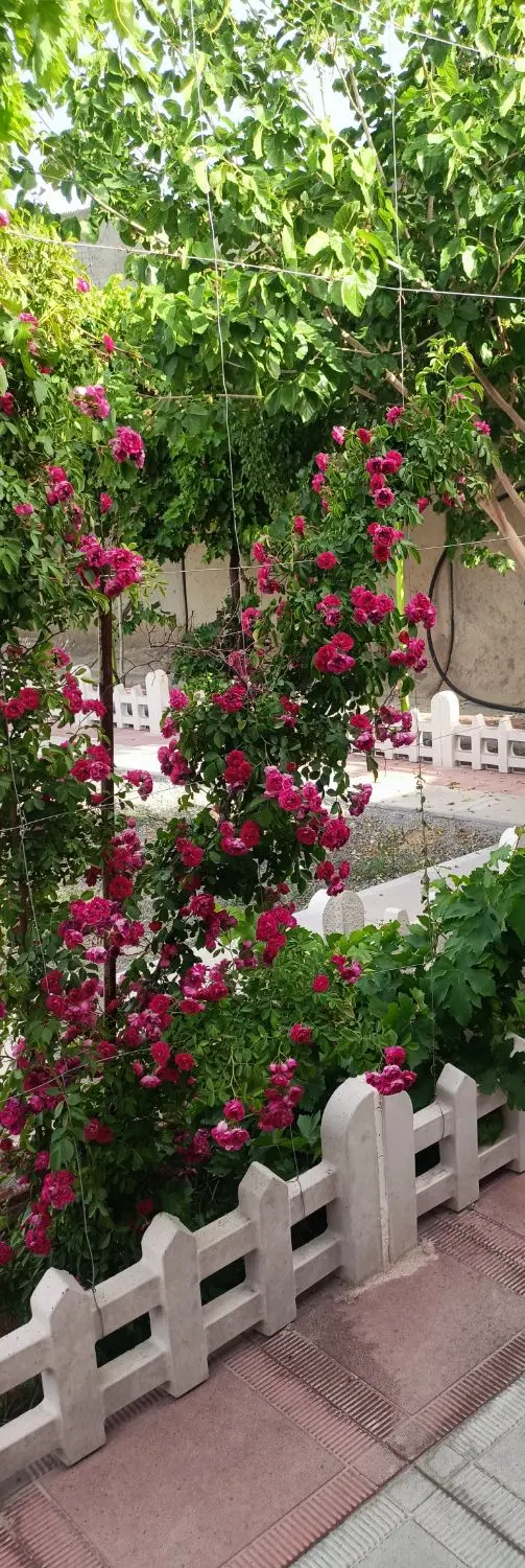 فروش باغ