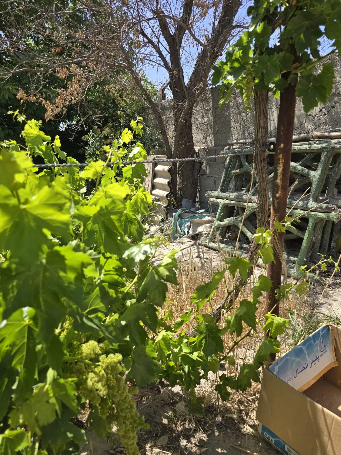 باغ و باغچه _ تانکر آب