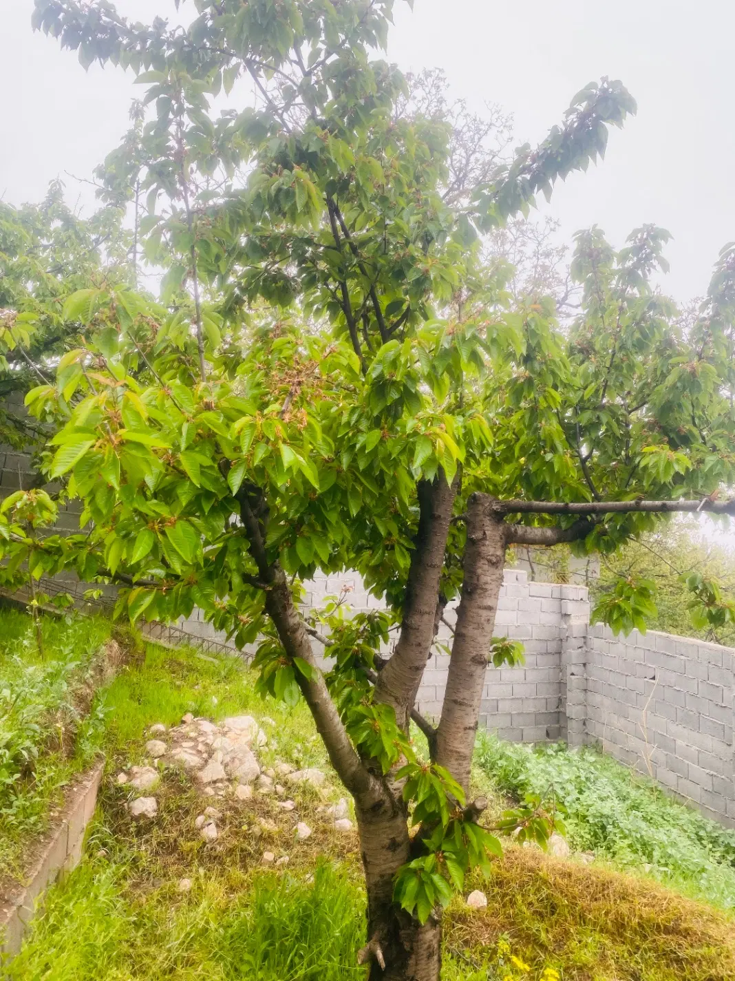 فروش زمین