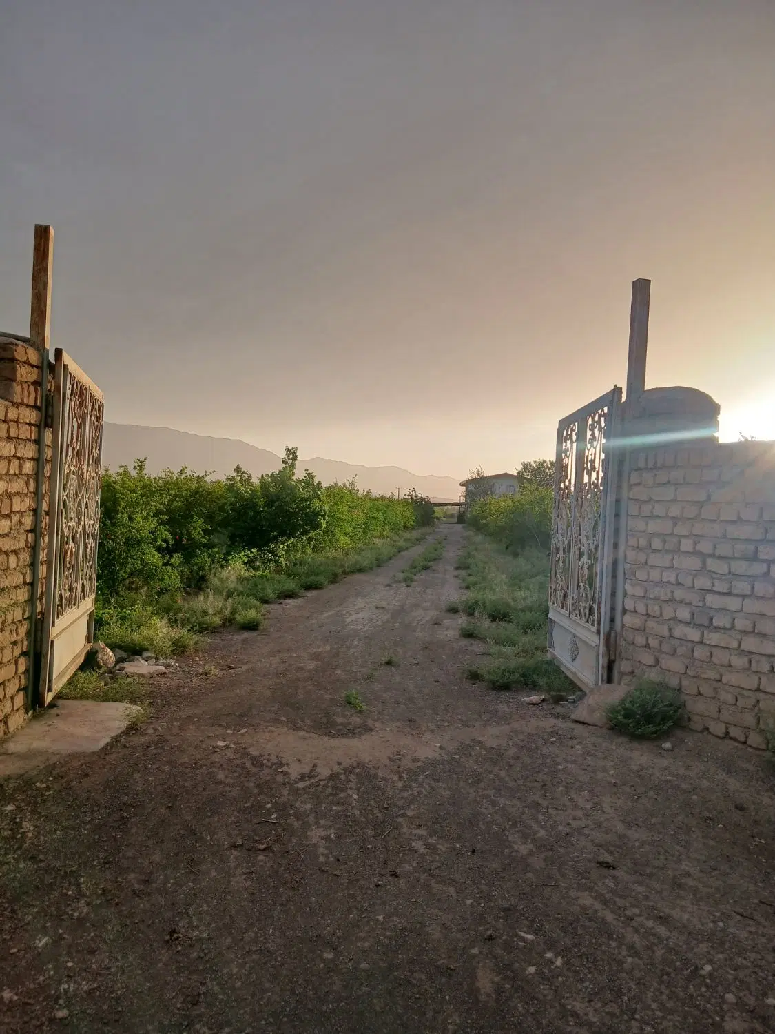 باغ و باغچه محصول بده با آب و برق