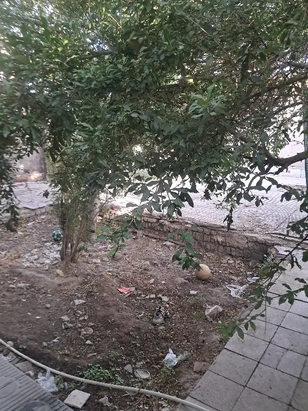 اتاق اجاره ای