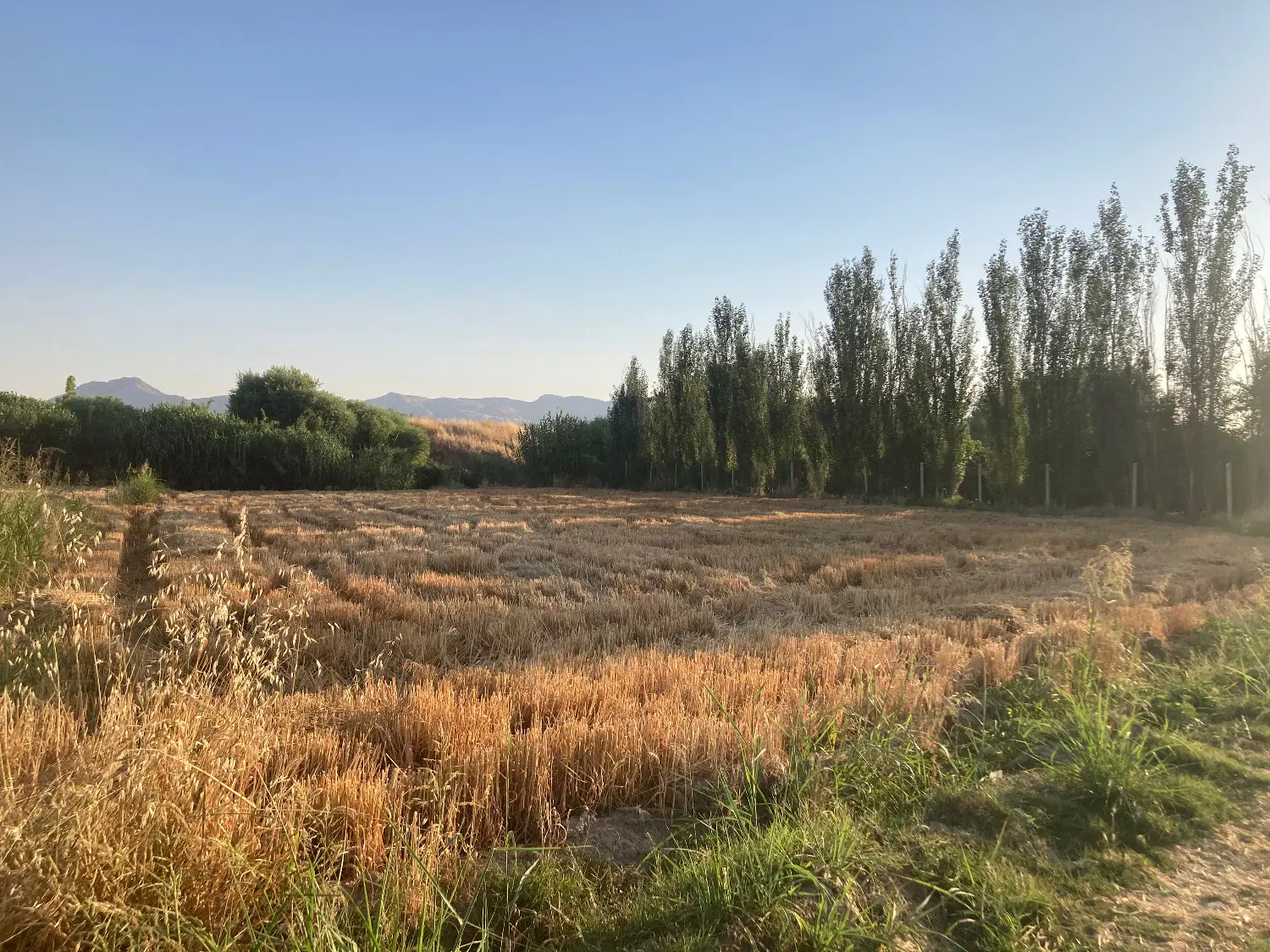فروش زمین