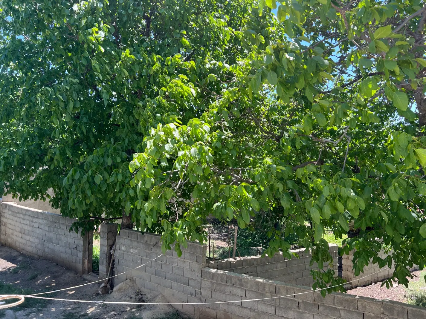 زمین مسکونی تک برگ سند
