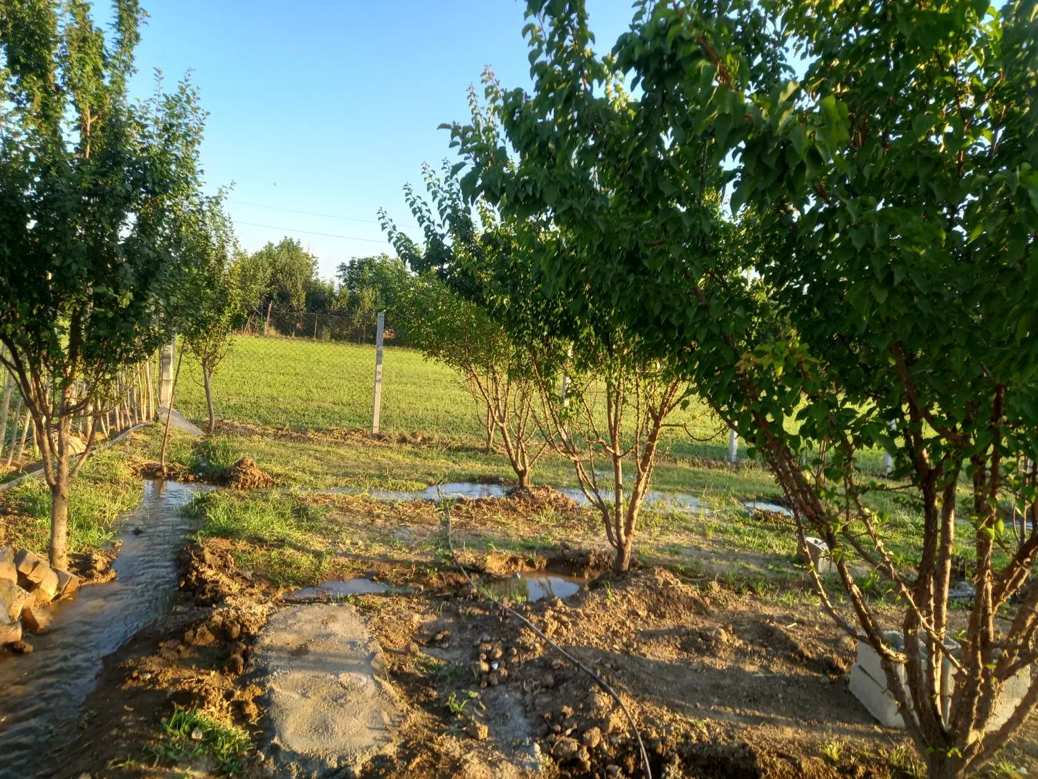 زمین باغی فروشی