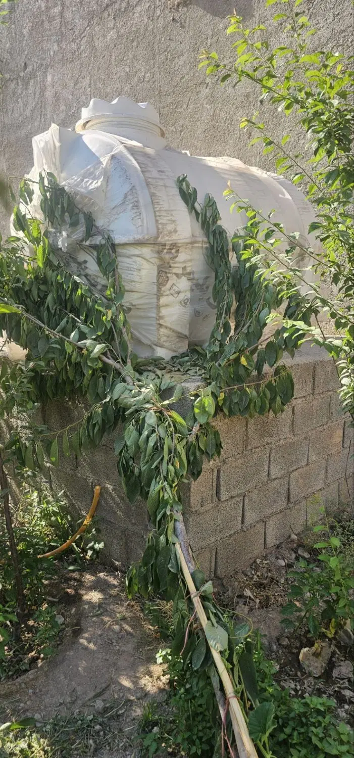 زمین باغی