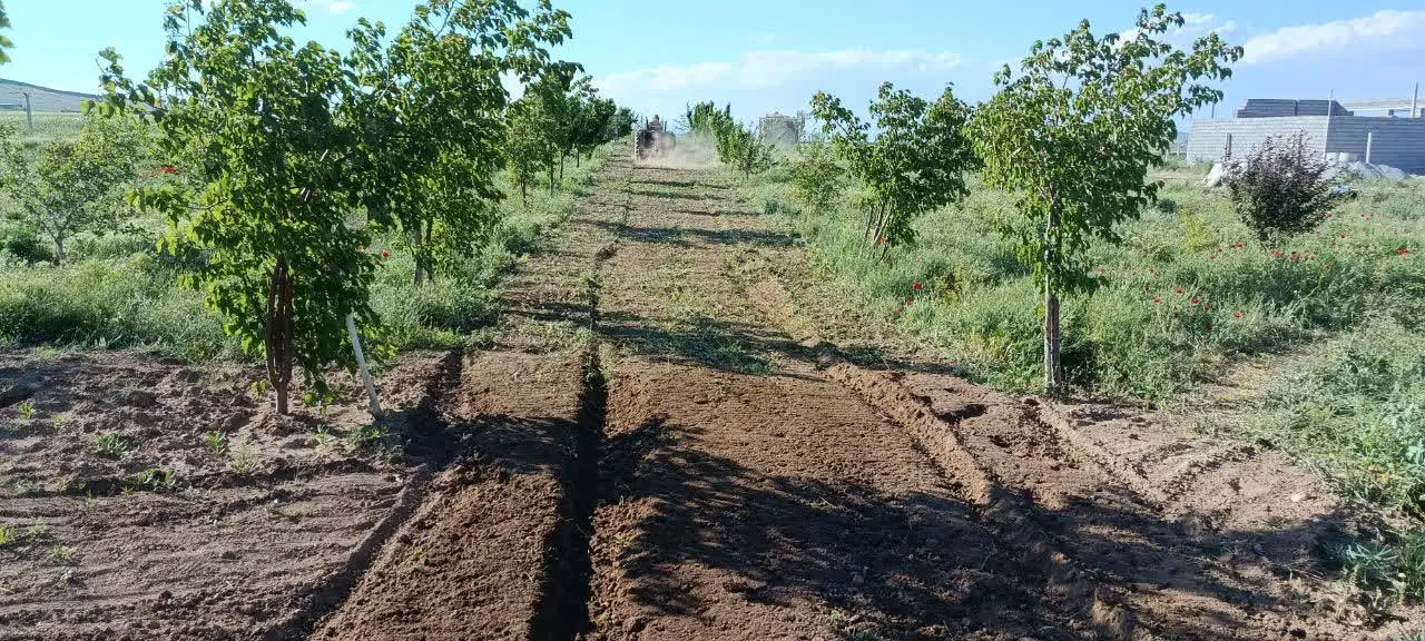 فروش باغ