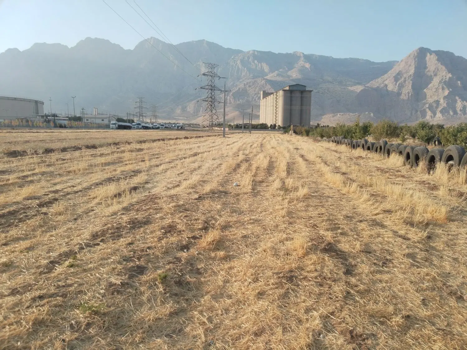 زمین برای باغ