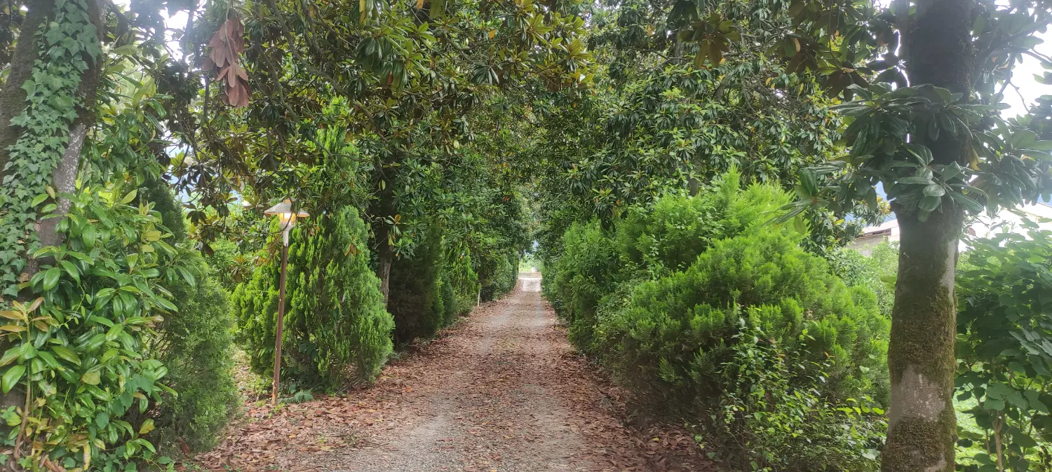 زمین تجاری