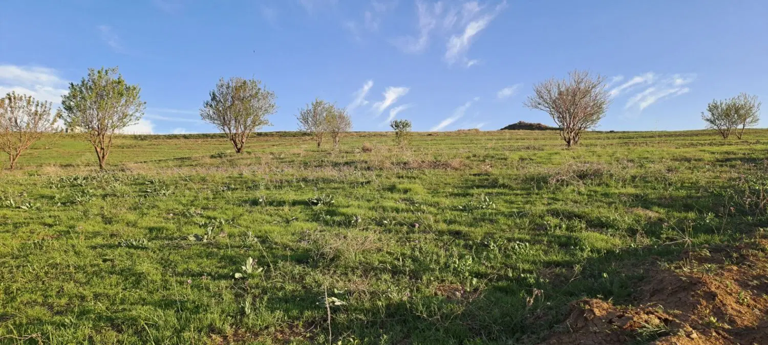 زمین ویو دریاچه روستای زرشک