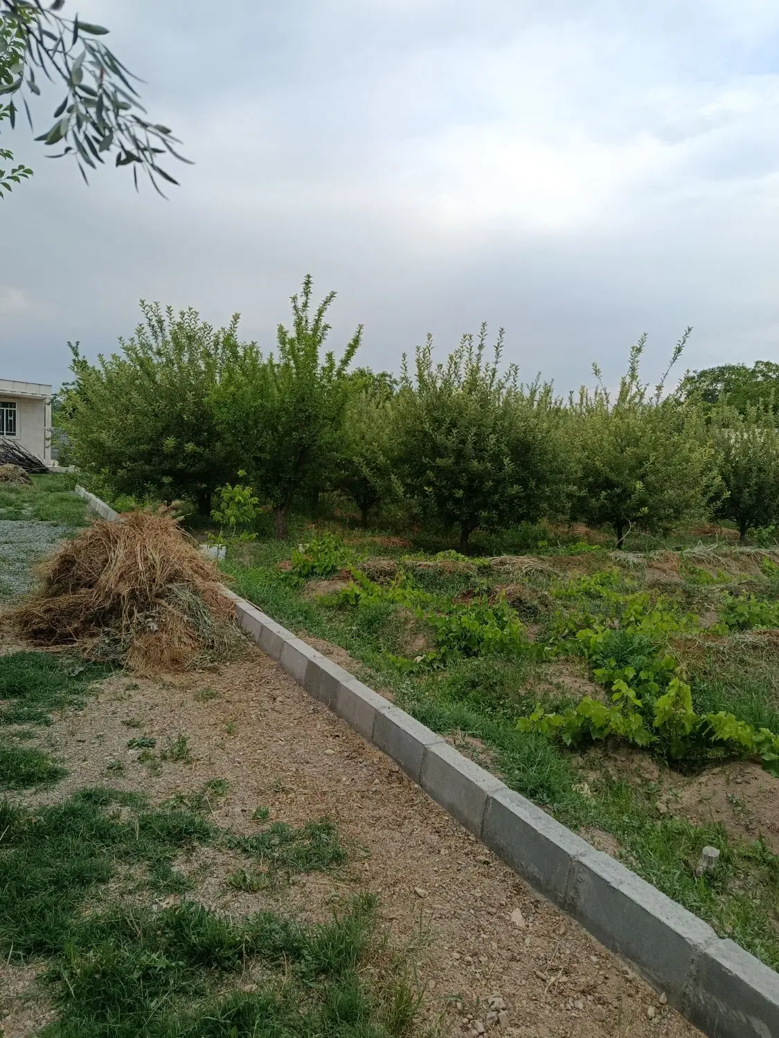 فروش ویلا باغ 1110متری عسگراباد تپه