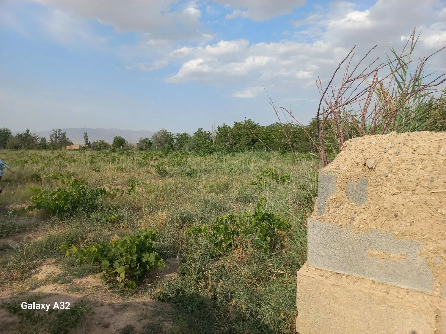 زمین در چلو