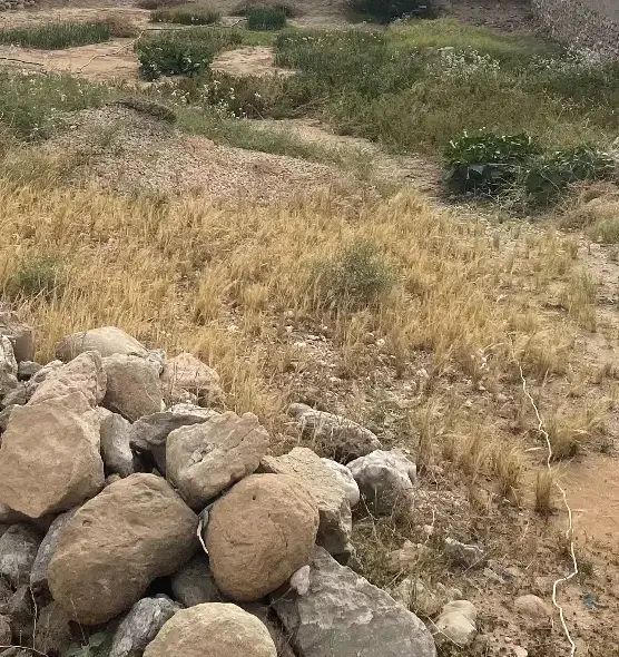 زمین فروشی