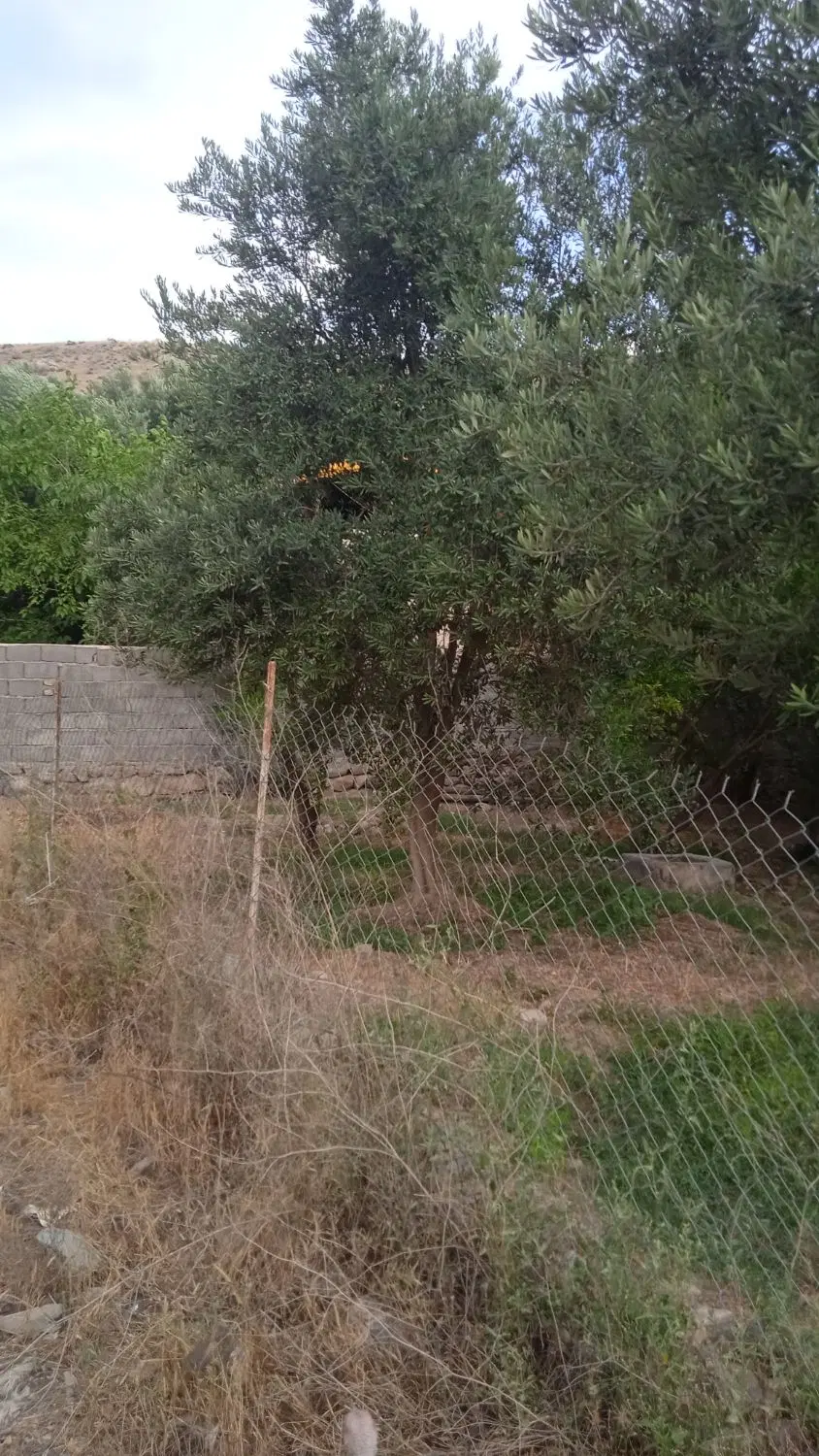 خونه‌ باغ ویلایی زیبا در طارم