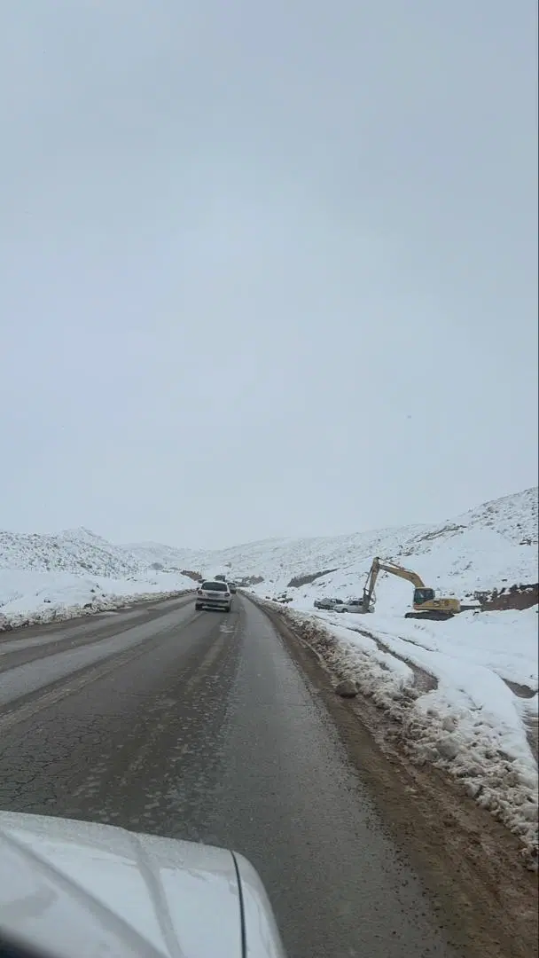 زمین  کودیان چشمه شولی