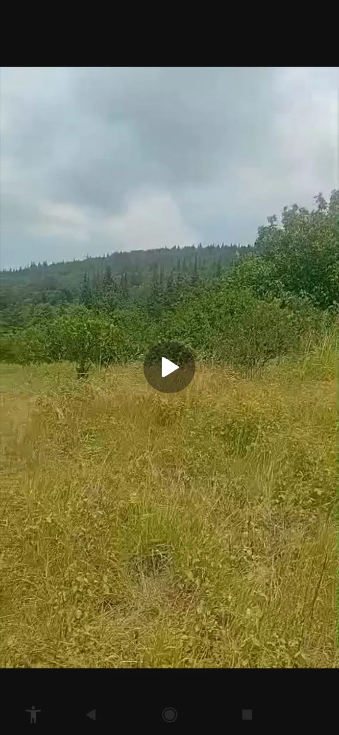 فروش زمین ۲۶۴متری چسبیده به بافت در روستای تنگ لته