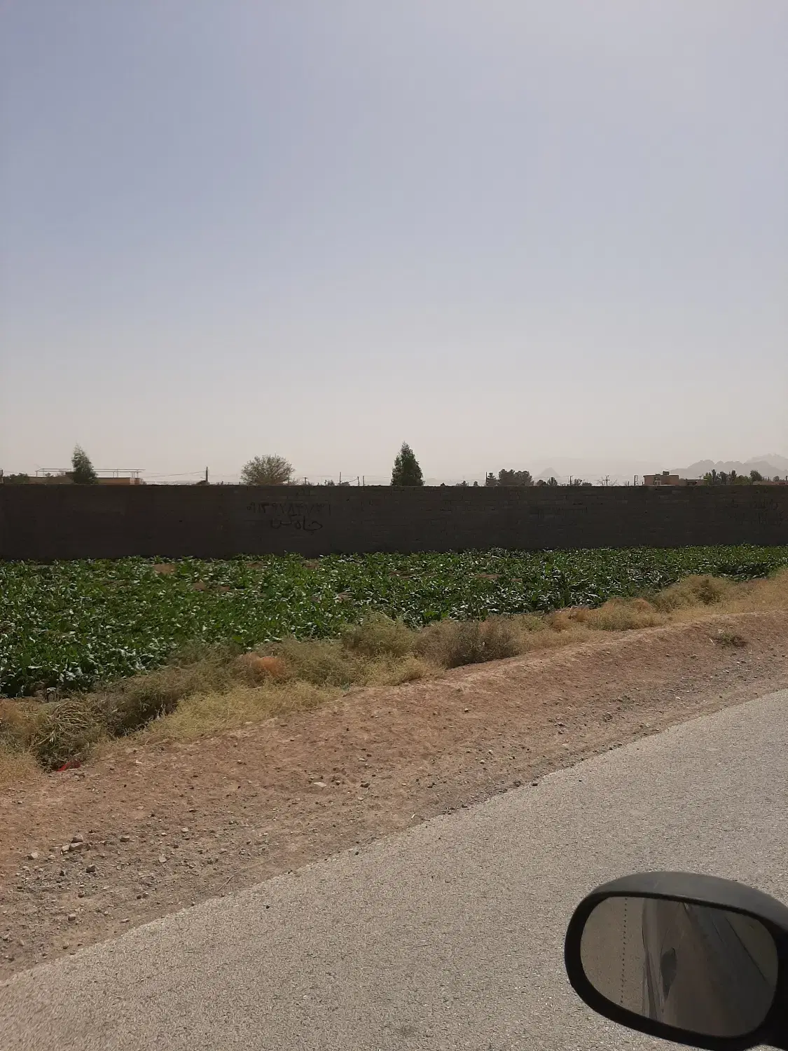 پلاک زمین ۳۵۰ متری در مجموعه مرق