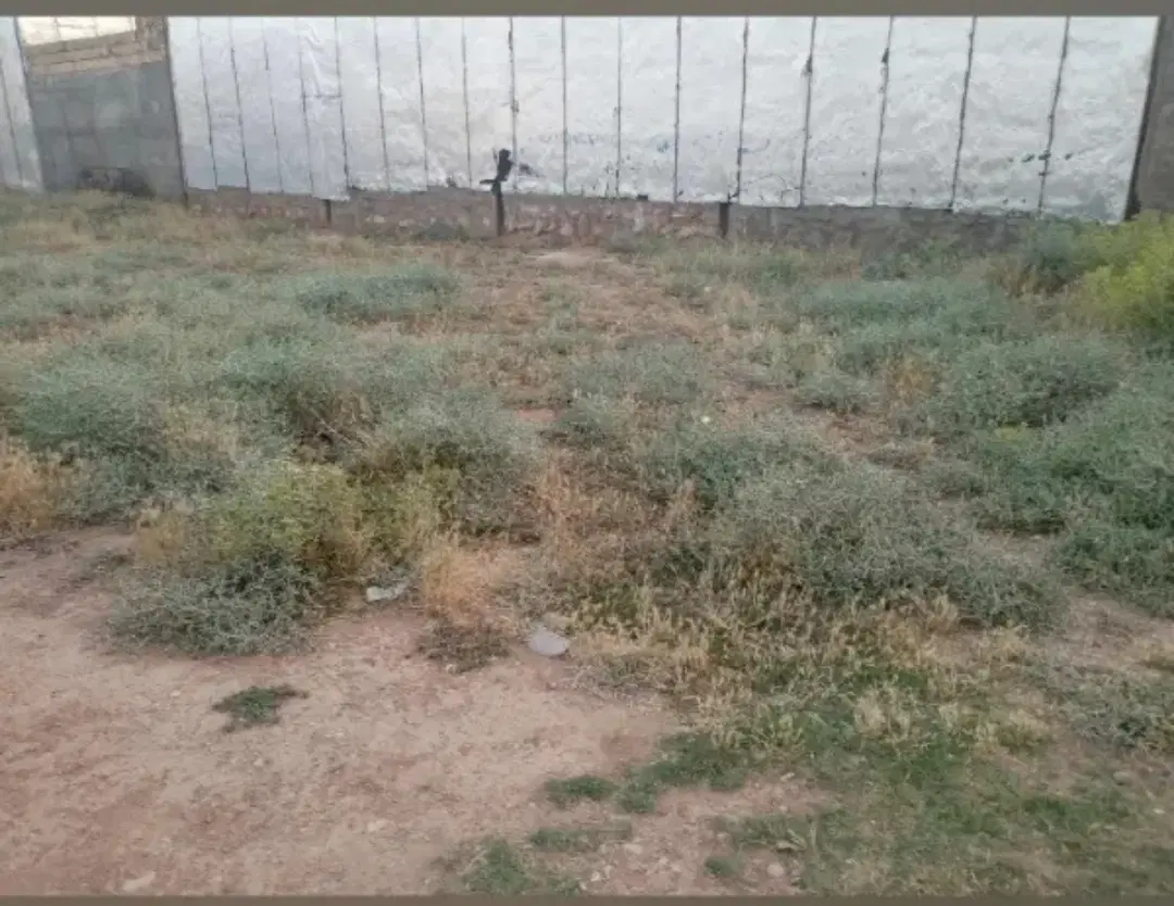 زمین کوی بسیجیان