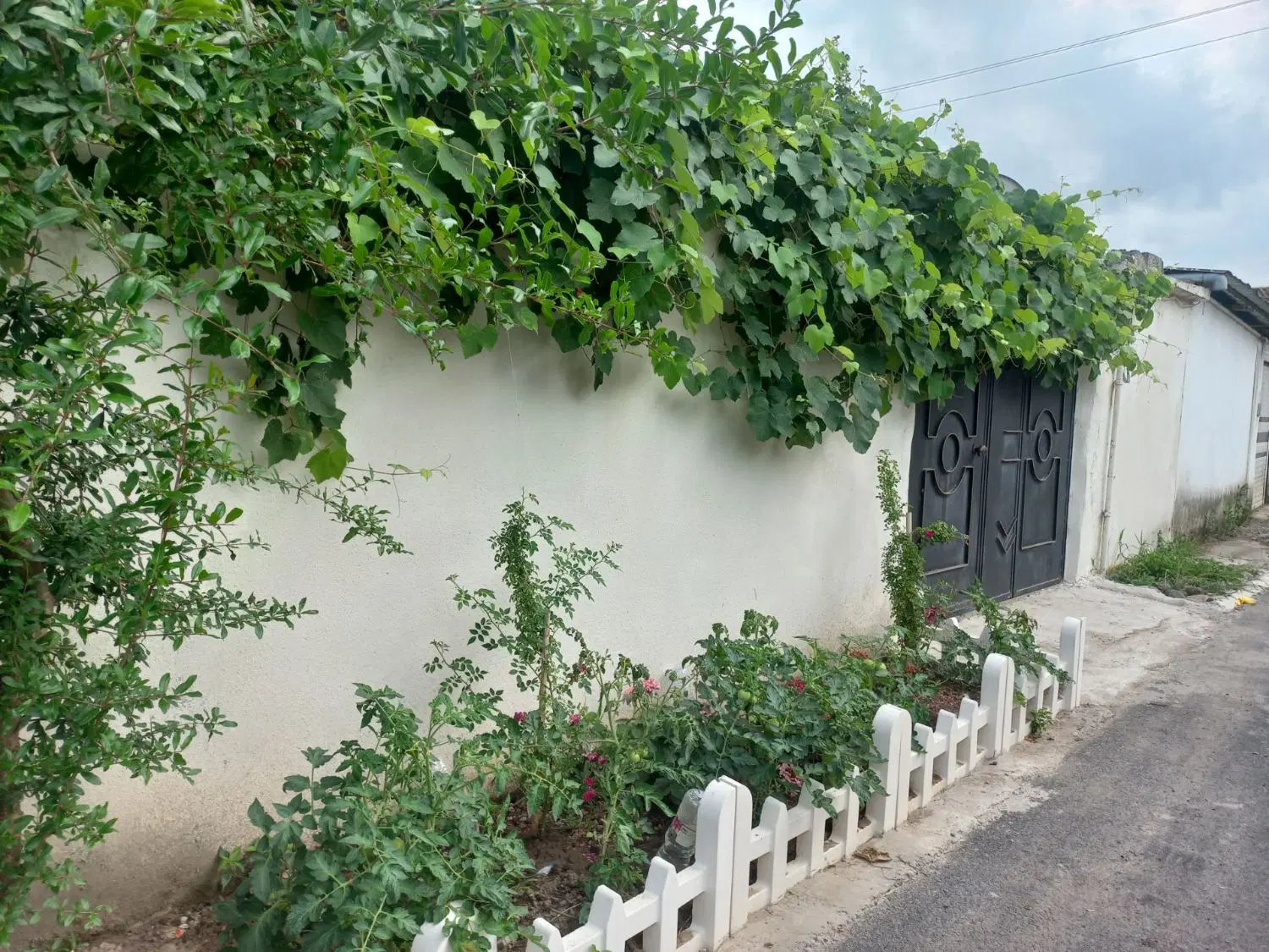 فروش خانه ویلایی