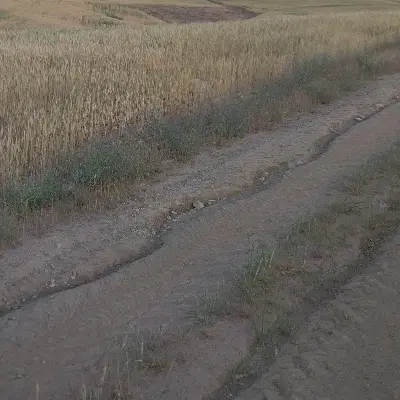 دو هزار متر زمین در چنگیز قلعه