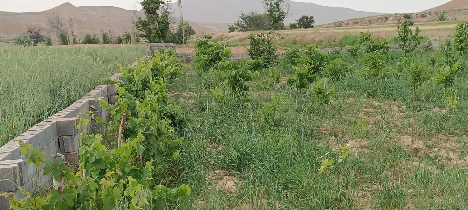 باغ ۷۰۰متری، روستای حمید