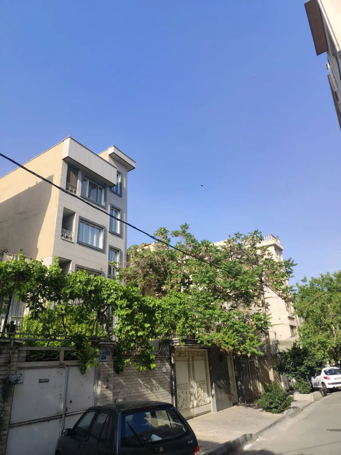 تک واحدی میدان ۷۳