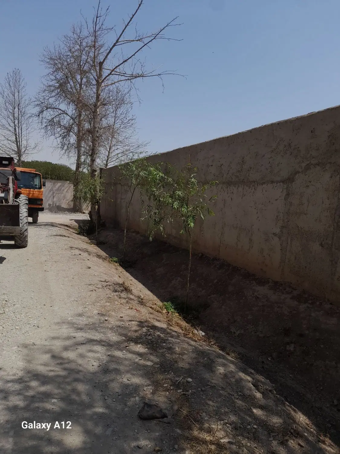 زمین باغی