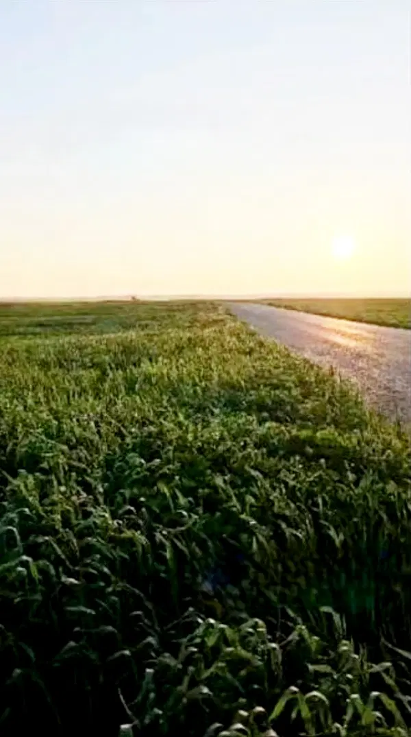 فروش زمین کشاورزی منطقه ی زیدون