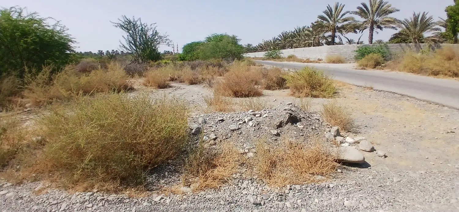 زمین فروشی زراعی وتجاری