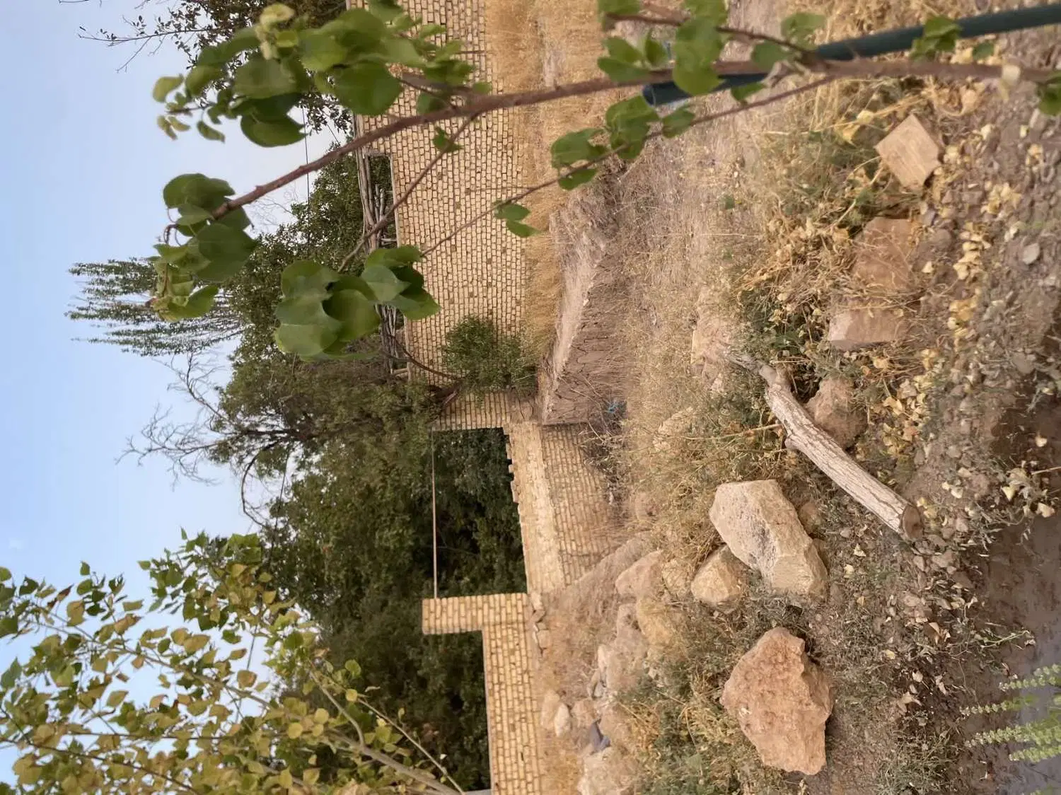 زمین مسکونی در نیاسر